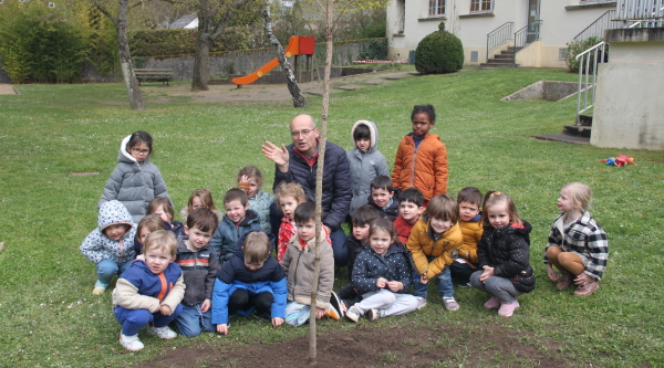 Arbre maternelle du Moulin