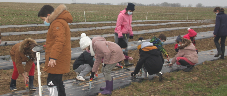 Plantation par les enfants