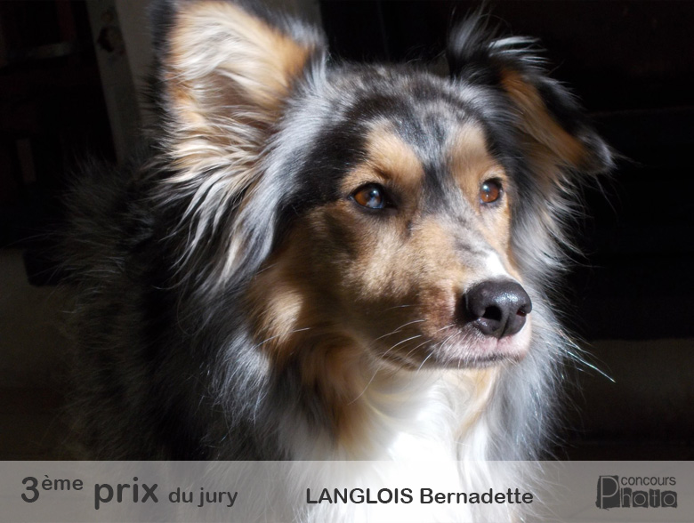 3ème prix du jury