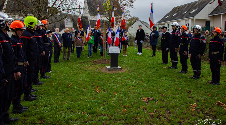 Arbre de la libération