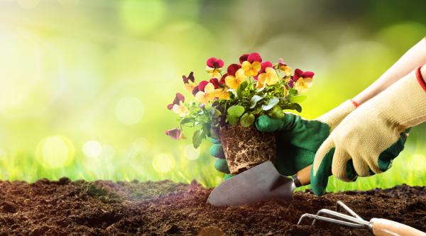 Ensemble, embellissons notre commune